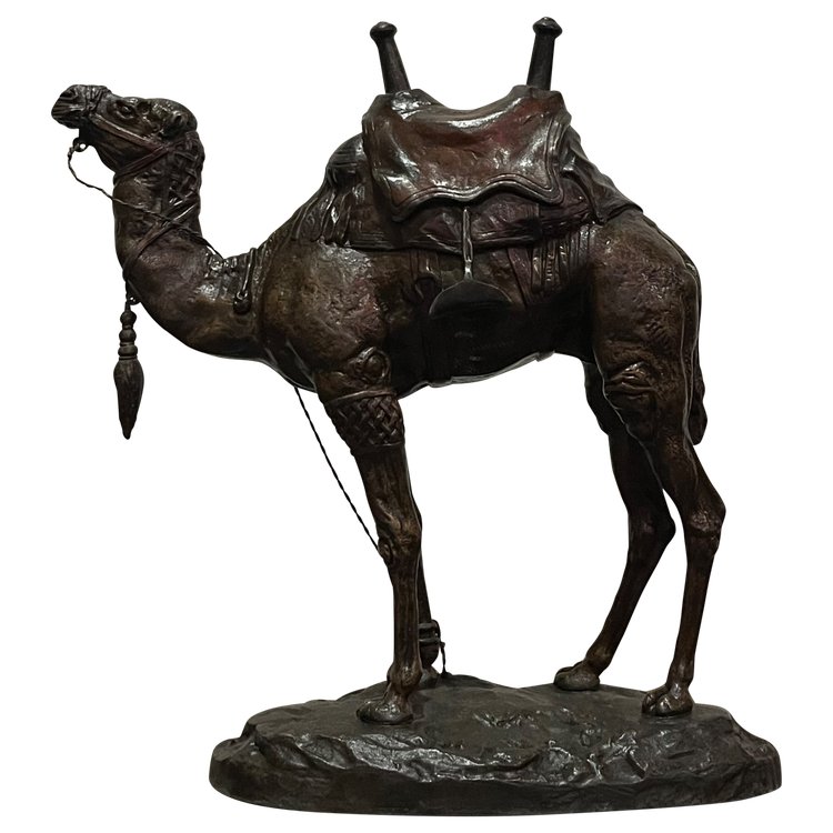 Scultura - Dromedario - Barye - Francia - XIX secolo