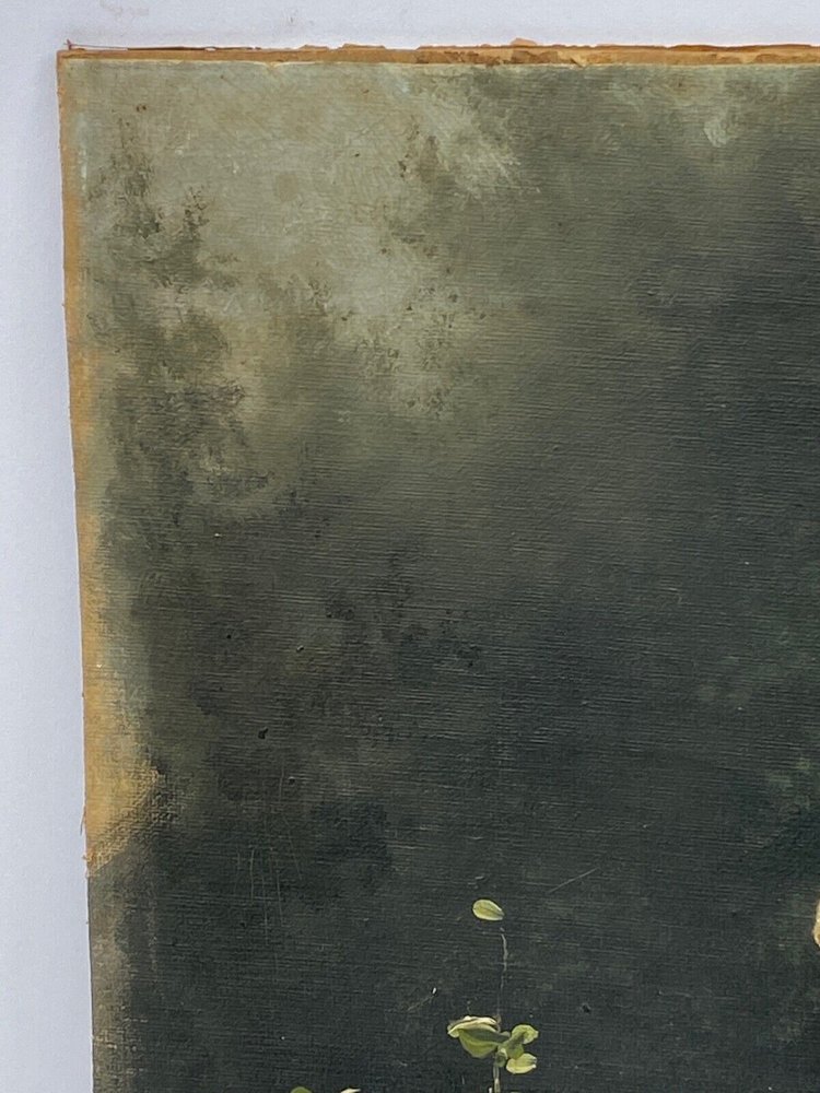 Olio su cartone Fanciulla con brocca fine XIX secolo Barbizon del sottobosco