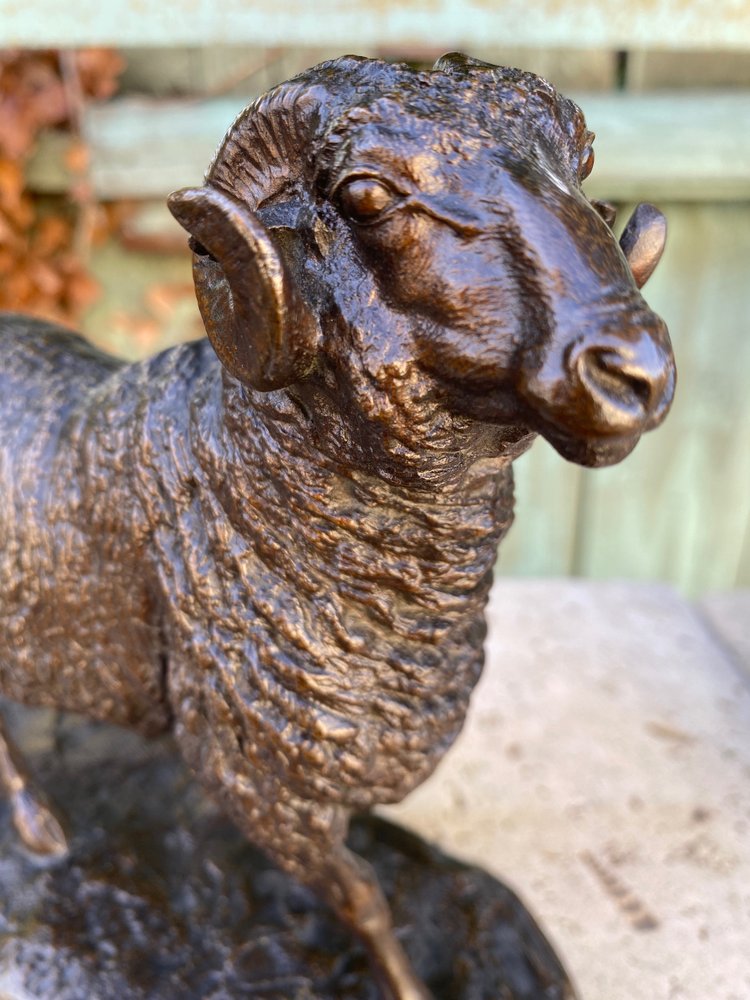 Widder aus Bronze mit brauner Patina 19. Jahrhundert signiert Isidore Bonheur (1827-1901)