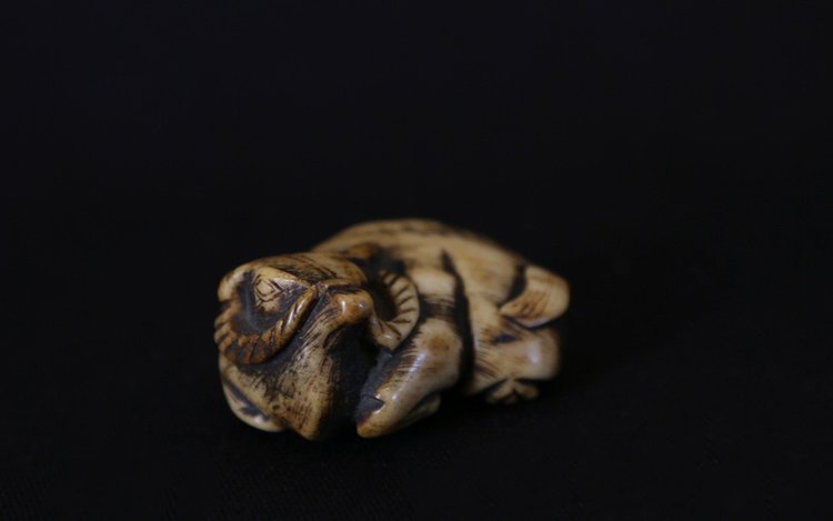 Netsuke Buffalo  Deer horn, 18th  century