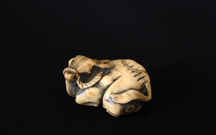 Netsuke Buffalo  Deer horn, 18th  century
