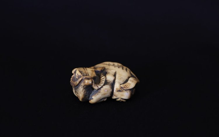 Netsuke Buffalo  Deer horn, 18th  century