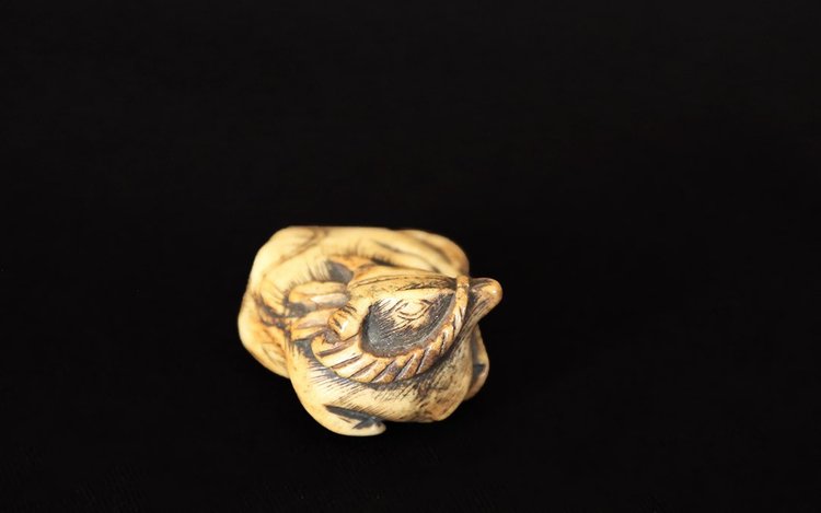 Netsuke Buffalo  Deer horn, 18th  century