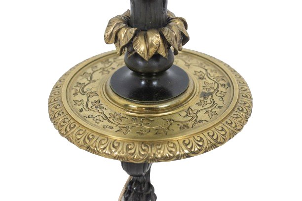 Restoration-style floor lamp in bronze with two patinas. Circa 1900. LS6115817Y