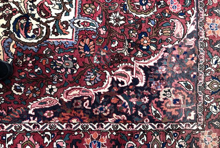Bakhtiar wool carpet, hand-knotted, with floral design