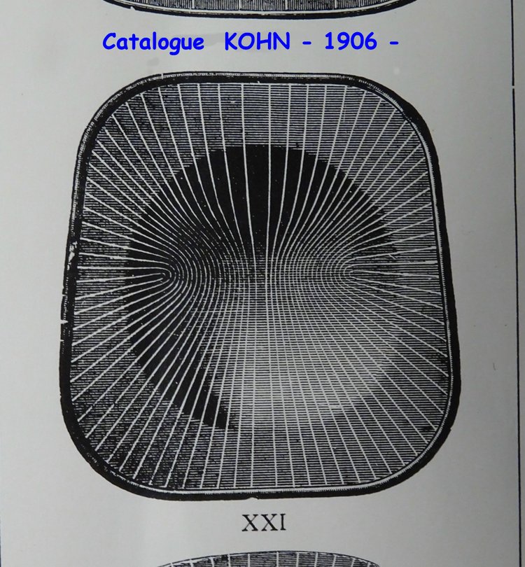 Zwei Stühle Nr. 248a von KOHN, um 1905, heller Nussbaum- no Thonet
