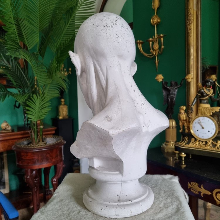 Grande busto in gesso del XIX secolo di un trampoliere.