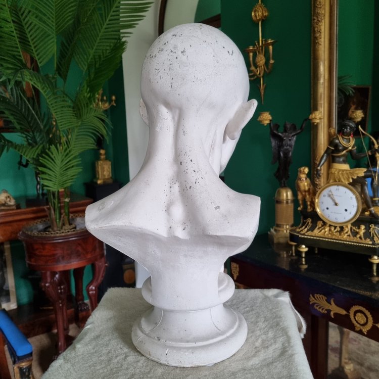 Grande busto in gesso del XIX secolo di un trampoliere.