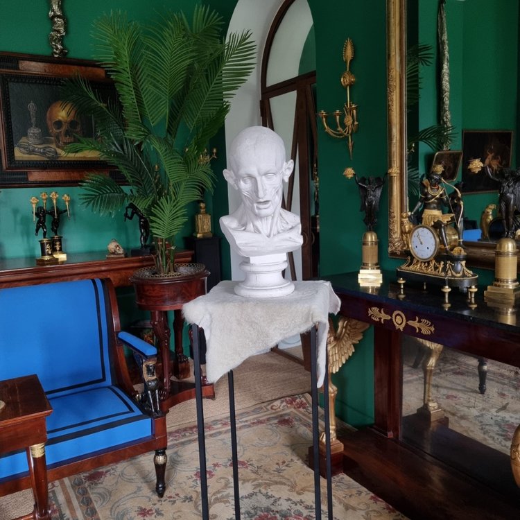 Grande busto in gesso del XIX secolo di un trampoliere.