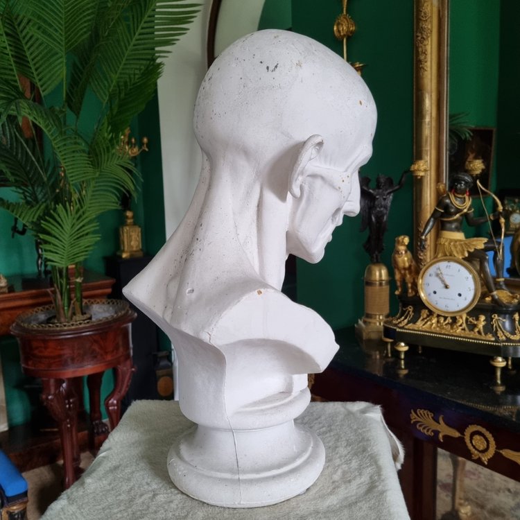 Grande busto in gesso del XIX secolo di un trampoliere.