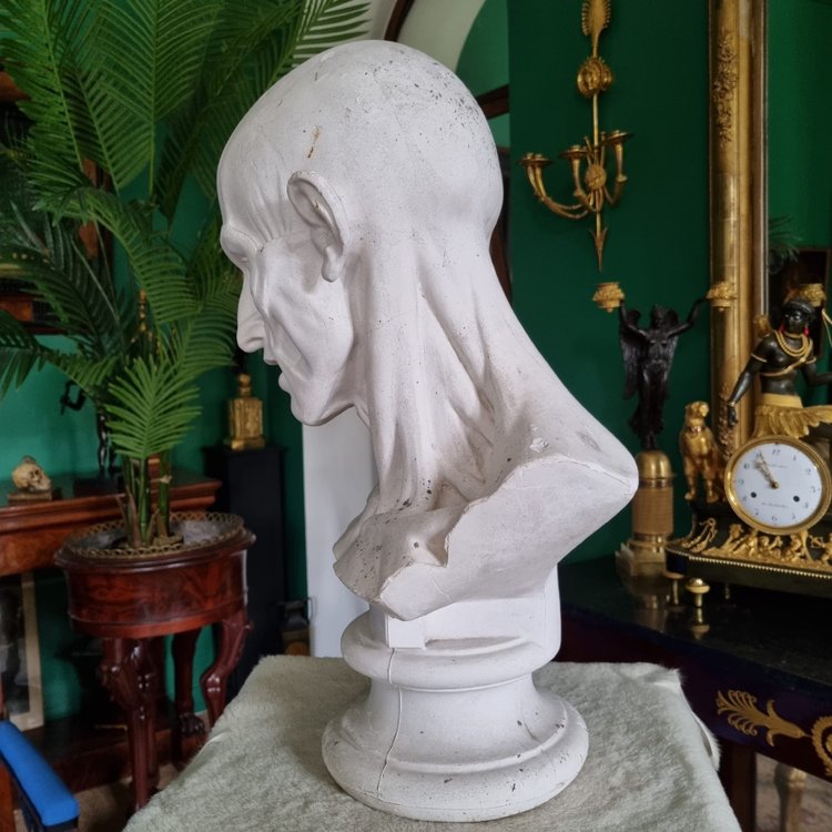 Grande busto in gesso del XIX secolo di un trampoliere.
