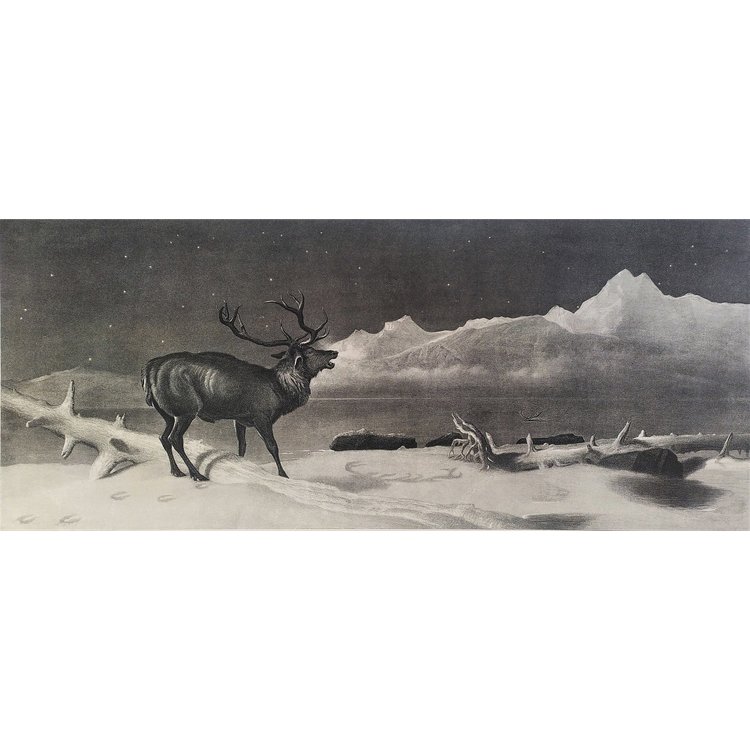 Edwin Landseer Etching Deer Engraving Animals 19th C Old Print
