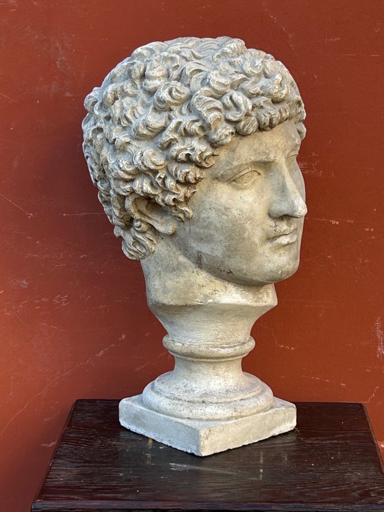 Buste Antinus - Grand Tour - Calco in gesso Fine XIX secolo - Antico - Romano