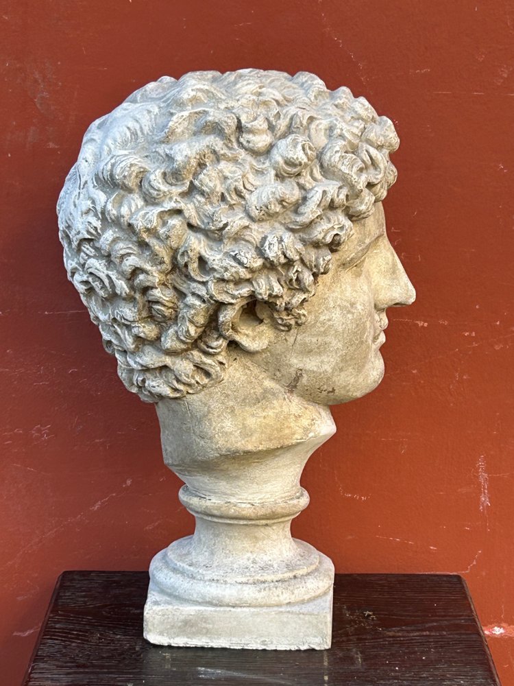 Buste Antinus - Grand Tour - Calco in gesso Fine XIX secolo - Antico - Romano