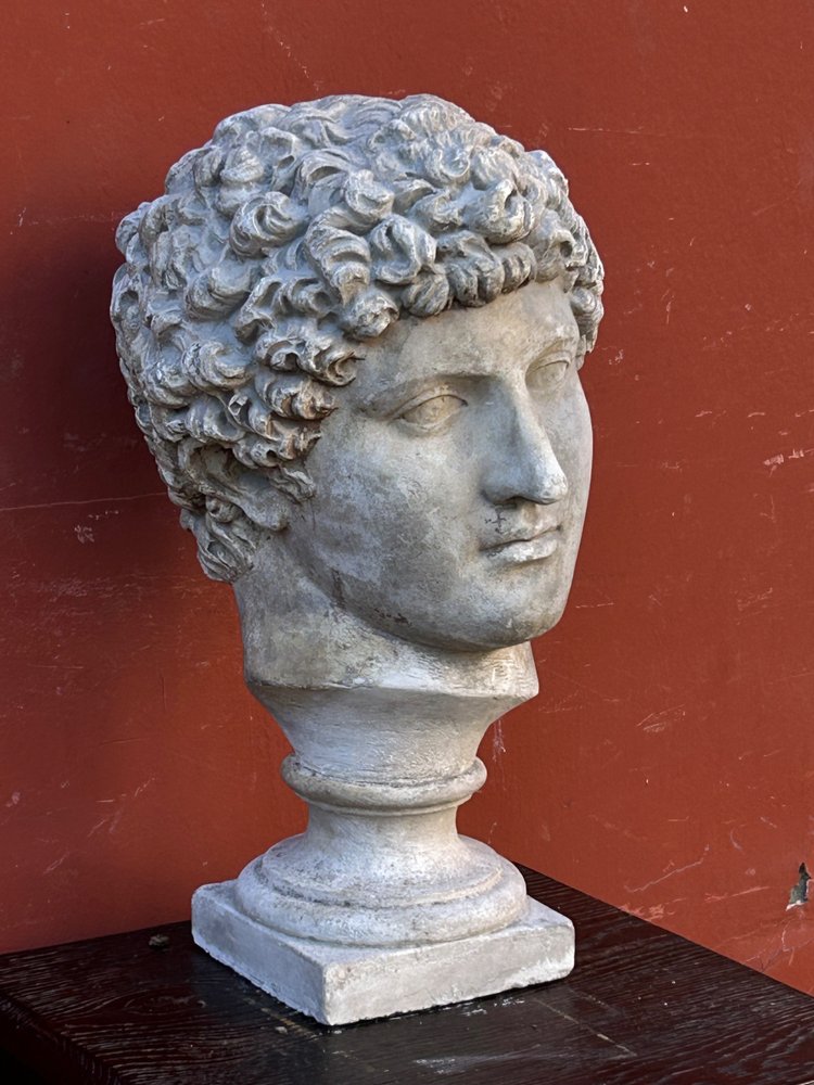 Buste Antinus - Grand Tour - Calco in gesso Fine XIX secolo - Antico - Romano