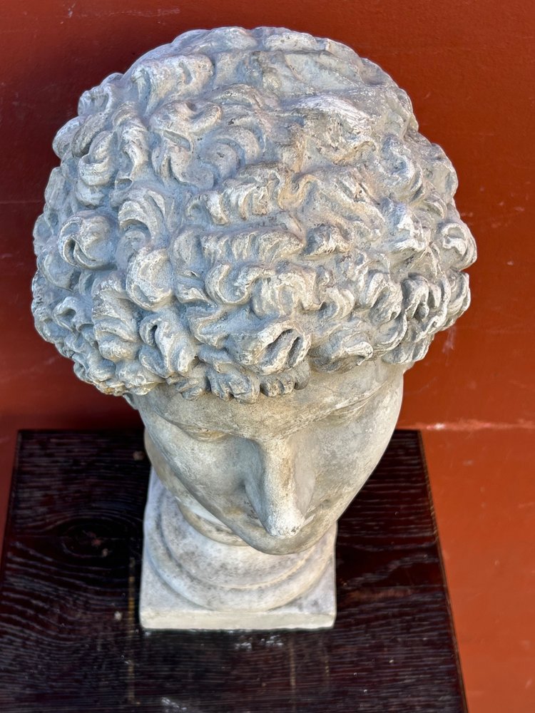 Buste Antinus - Grand Tour - Calco in gesso Fine XIX secolo - Antico - Romano