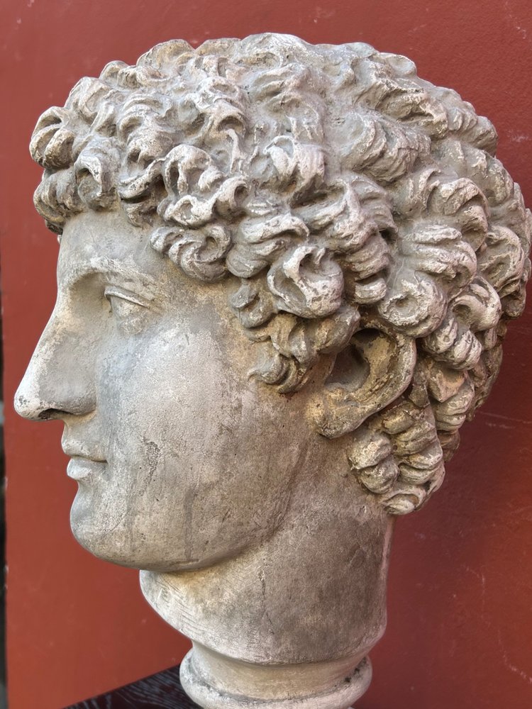 Buste Antinus - Grand Tour - Calco in gesso Fine XIX secolo - Antico - Romano