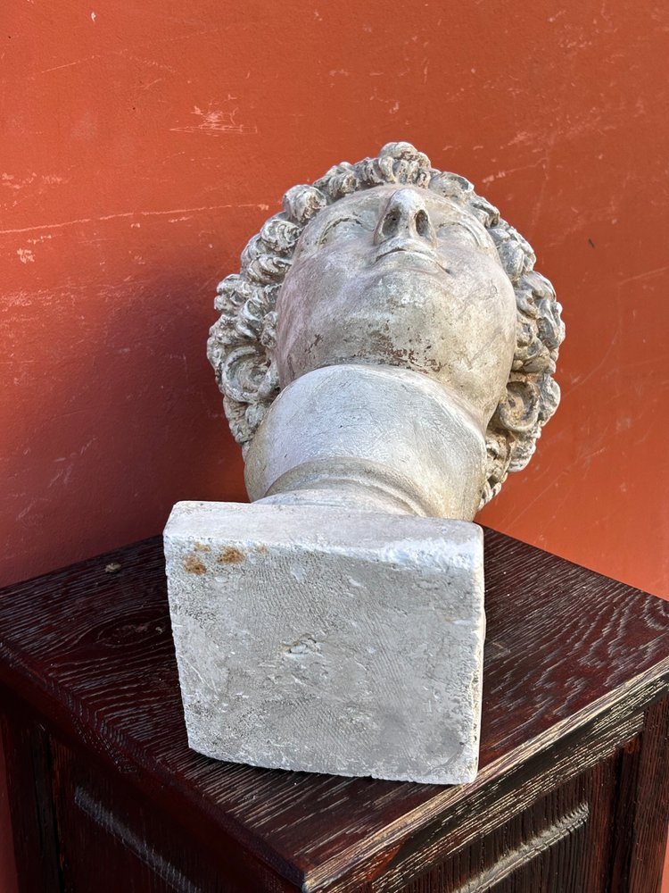 Buste Antinus - Grand Tour - Calco in gesso Fine XIX secolo - Antico - Romano
