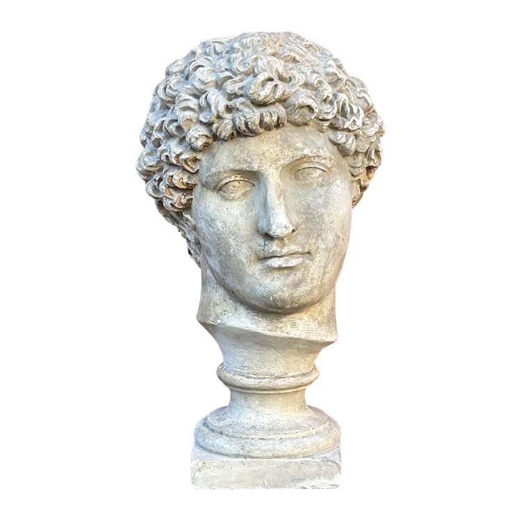 Buste Antinus - Grand Tour - Calco in gesso Fine XIX secolo - Antico - Romano