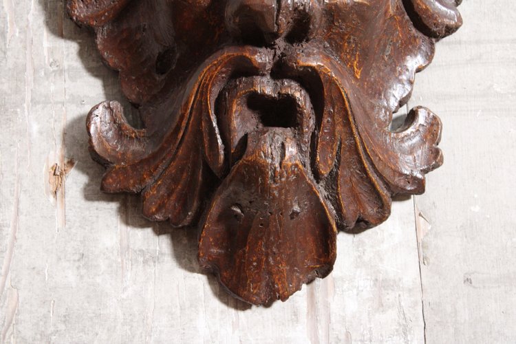 Mascaron "maschera a foglie" in legno intagliato, XVII secolo
