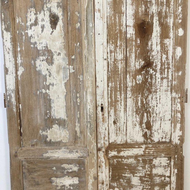 Pair of large doors, 18th century