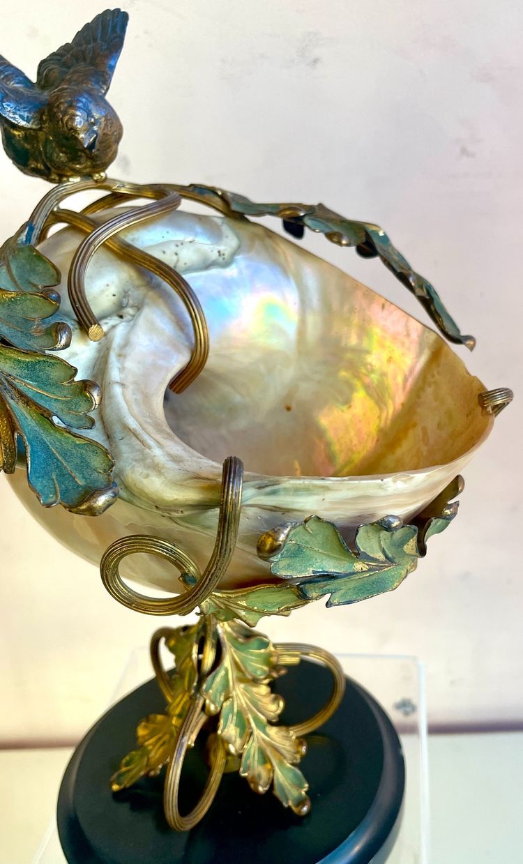 Coquillage monté Art Nouveau, XIXe siècle