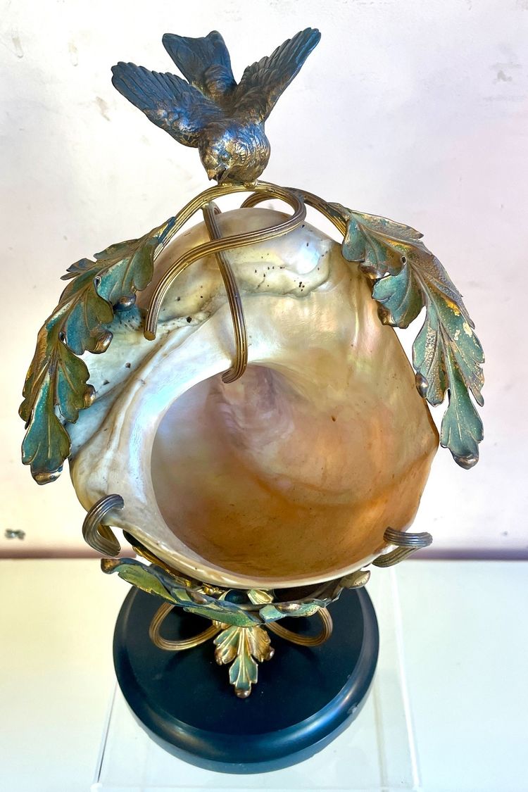 Coquillage monté Art Nouveau, XIXe siècle