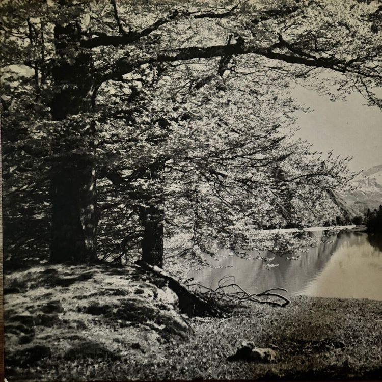 Foto su pannello di legno paesaggio montano
