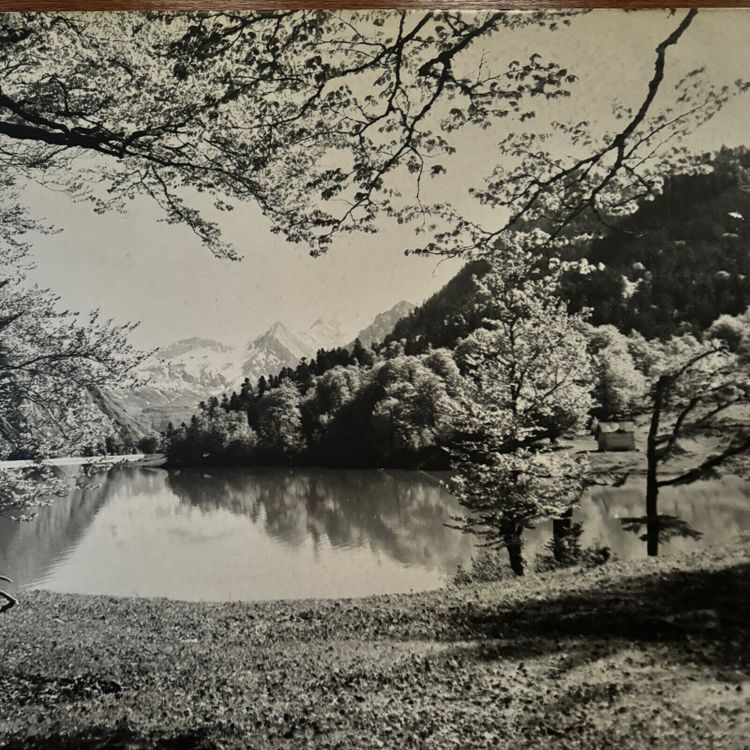 Foto su pannello di legno paesaggio montano