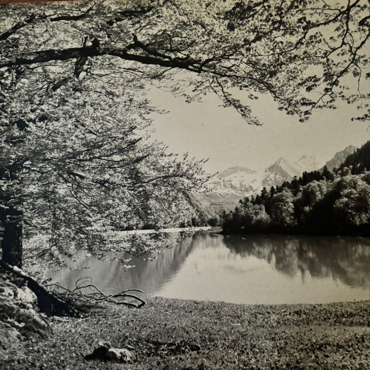 Foto su pannello di legno paesaggio montano