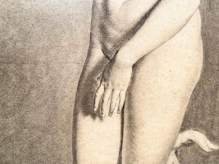 Venus von Medici - akademische Kohlezeichnung