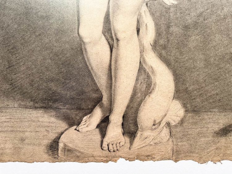 Venus von Medici - akademische Kohlezeichnung