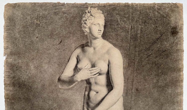 Venus von Medici - akademische Kohlezeichnung