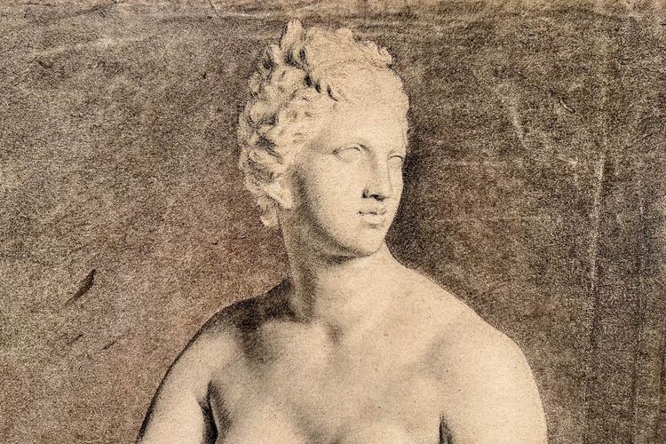Venus von Medici - akademische Kohlezeichnung