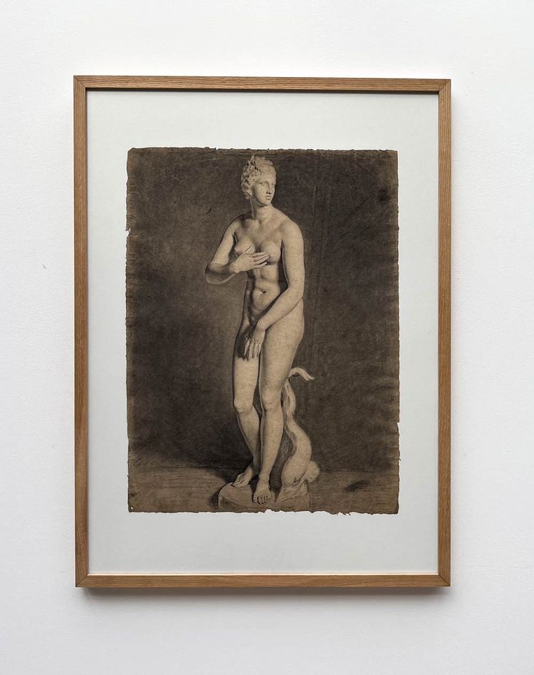 Venus von Medici - akademische Kohlezeichnung