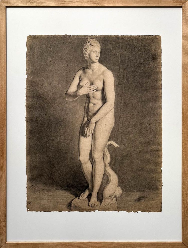 Venus von Medici - akademische Kohlezeichnung