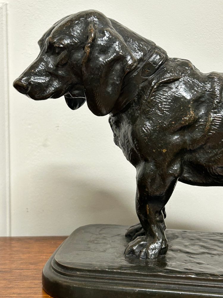 Antoine-Louis Barye (1795-1865) Basset mit dem Kopf nach links stehend Barbedian Gusseisen XIX 