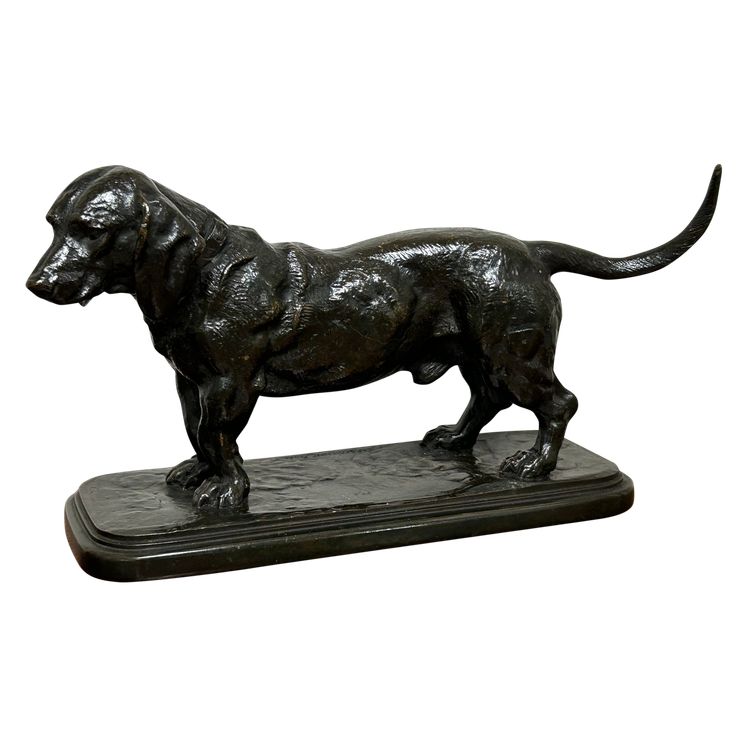Antoine-Louis Barye (1795-1865) Basset mit dem Kopf nach links stehend Barbedian Gusseisen XIX 
