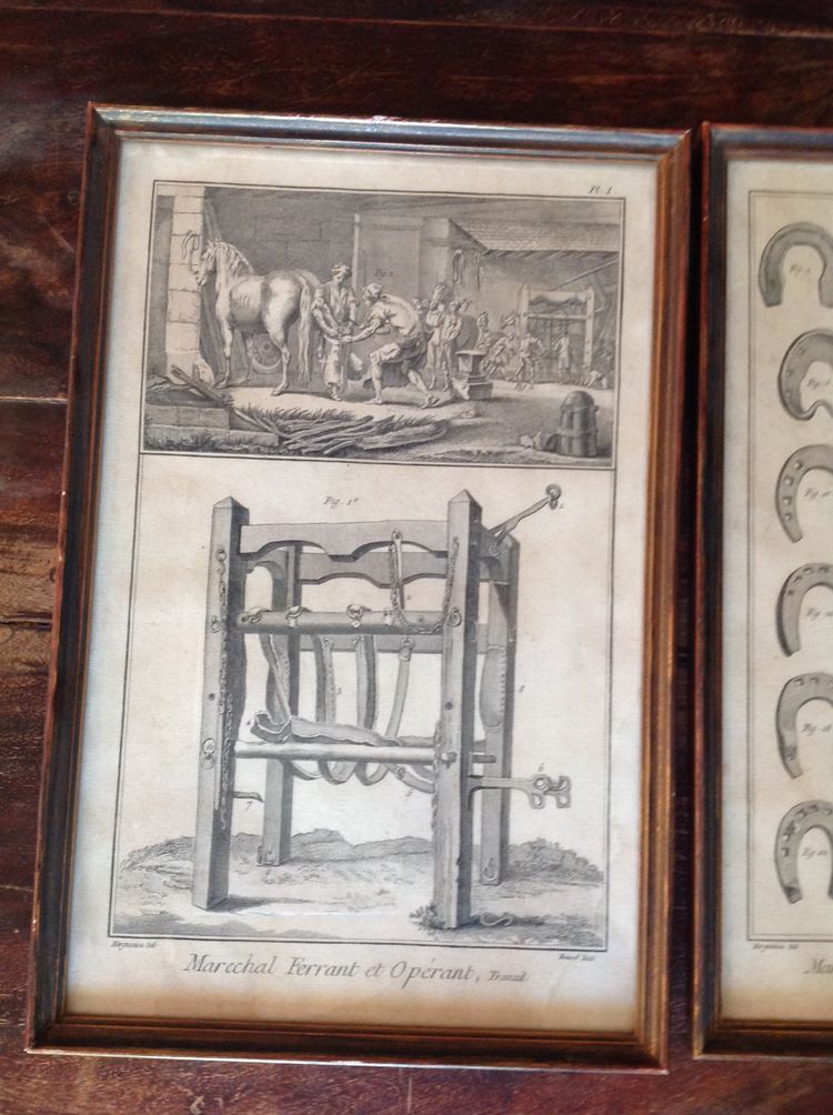Set of three 18th century engravings.