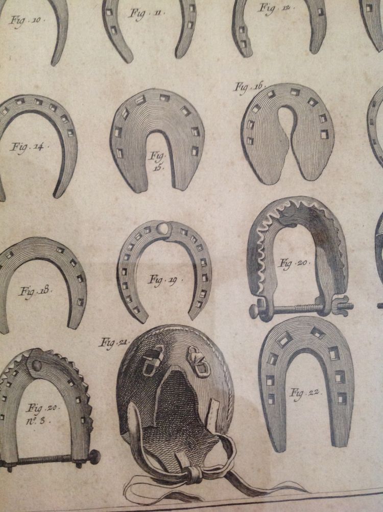 Set of three 18th century engravings.
