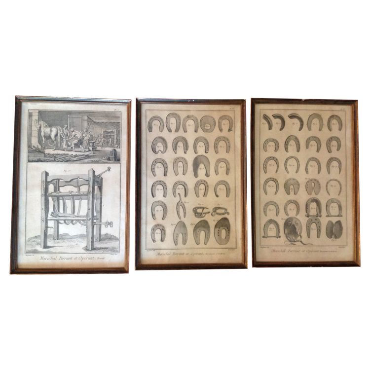 Set of three 18th century engravings.
