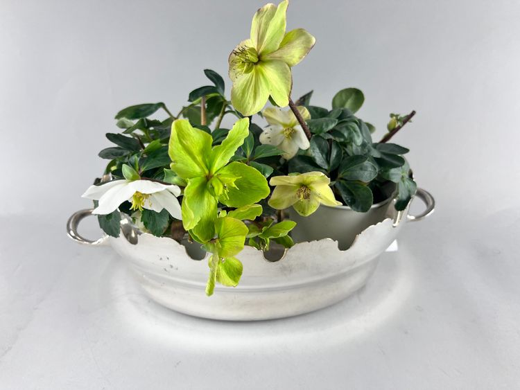 Silver metal glass cooler/planter