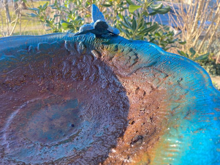 Bellissimo bagno per uccelli decorato su un supporto in ghisa Napoleone III laccato in blu intenso