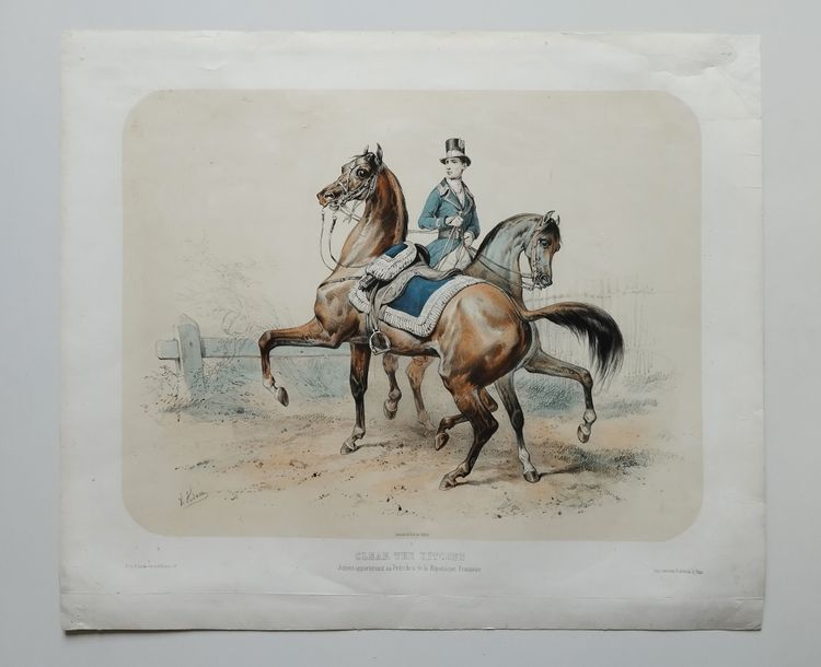 Pferde Lithographie Von Adam 19.