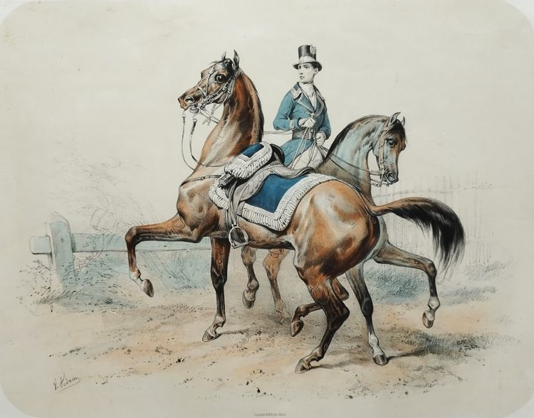 Pferde Lithographie Von Adam 19.