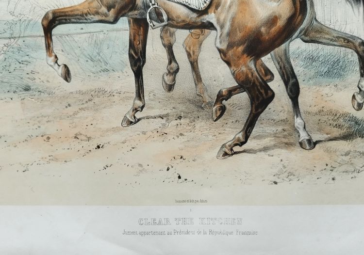 Pferde Lithographie Von Adam 19.