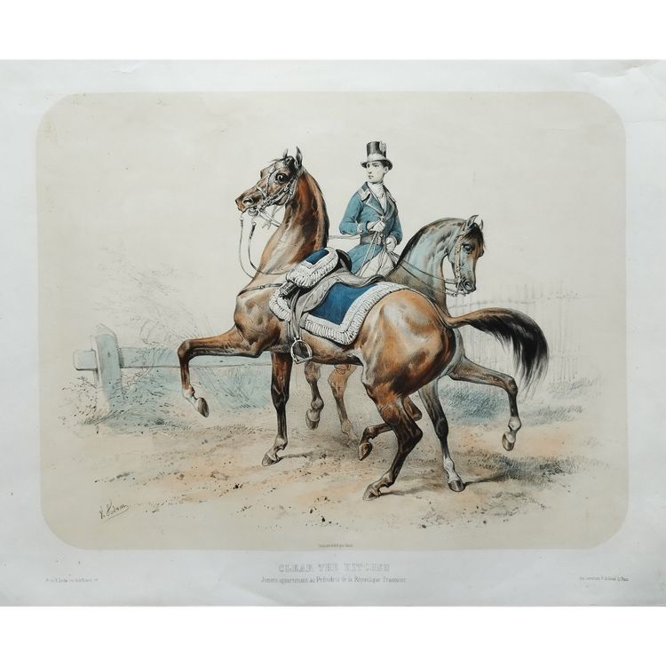 Pferde Lithographie Von Adam 19.