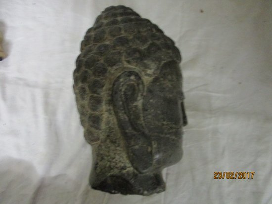 testa di pietra