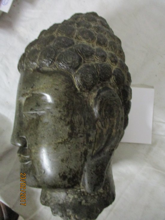 testa di pietra