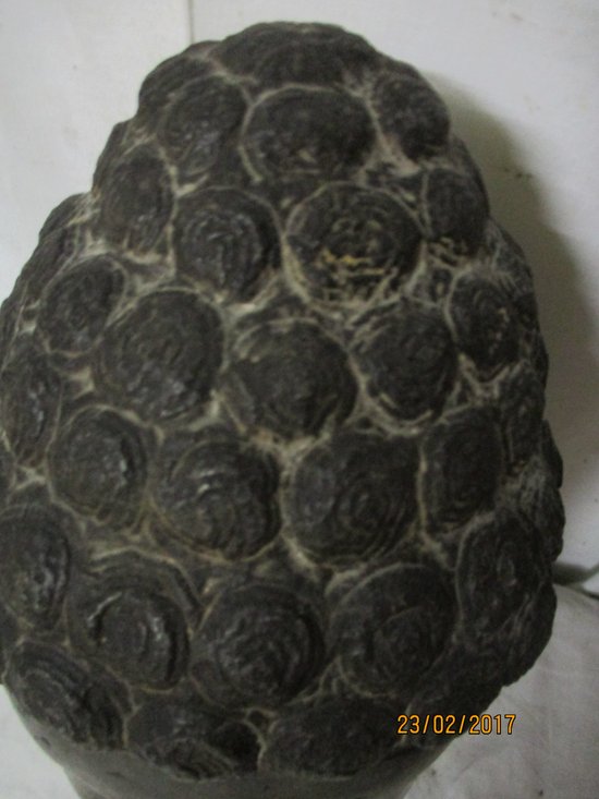 testa di pietra